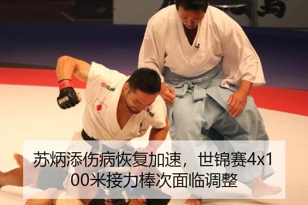 su-bing-tian-shang-bing-hui-fu-jia-su-shi-jin-sai-mi-jie-li-bang-ci-mian-lin-tiao-zheng-3-551.jpg