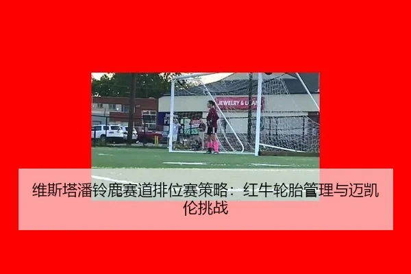 wei-si-ta-pan-ling-lu-sai-dao-pai-wei-sai-ce-lve-hong-niu-lun-tai-guan-li-yu-mai-kai-lun-tiao-zhan-3-427.jpg
