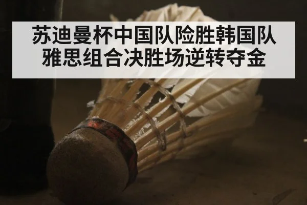 苏迪曼杯中国队险胜韩国队 雅思组合决胜场逆转夺金